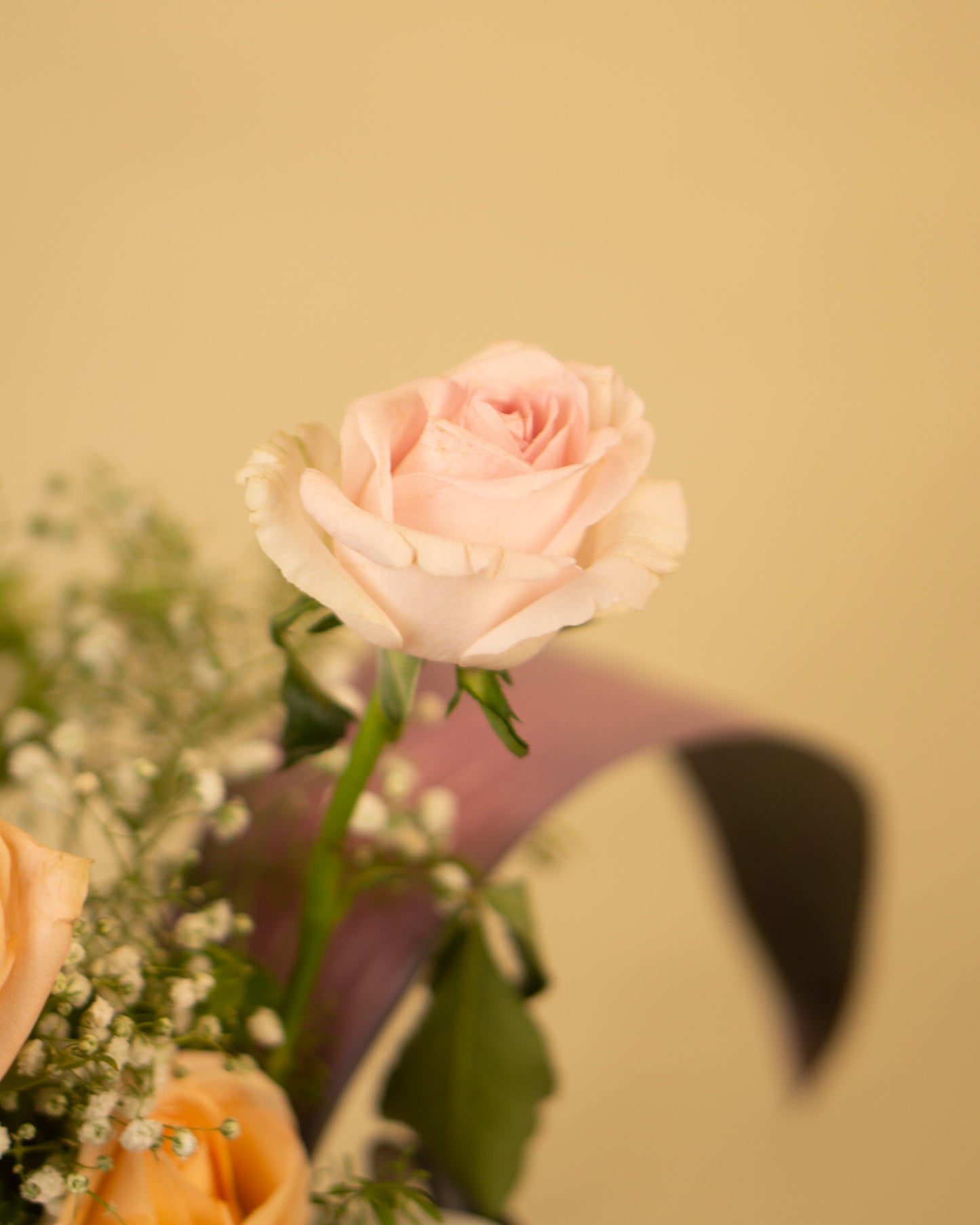 Dear Mom, With Roses – Mother’s Day Vase Arrangement