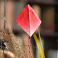 The Kite Runner