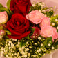 Mini Gulbaan - City of Rose