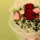 Mini Gulbaan - City of Rose