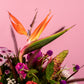Petal Poetry