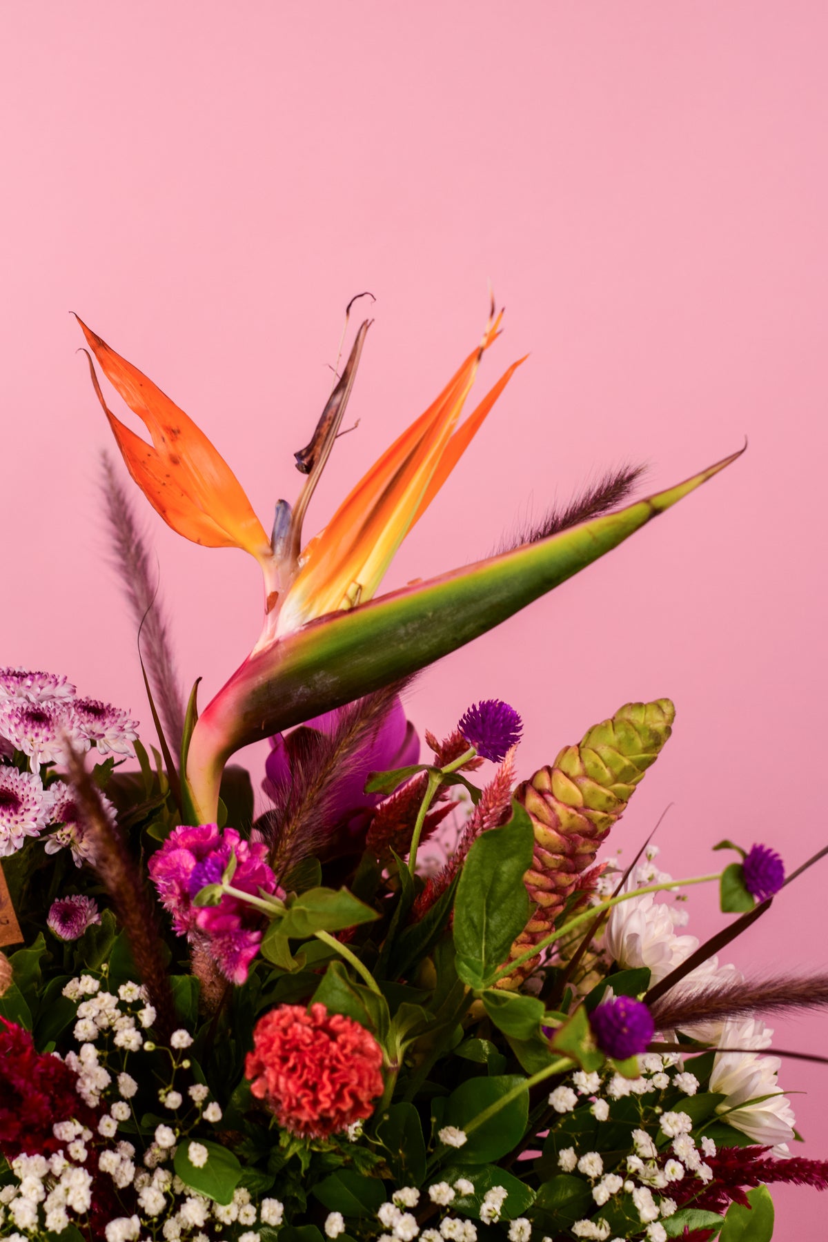 Petal Poetry