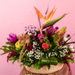 Petal Poetry
