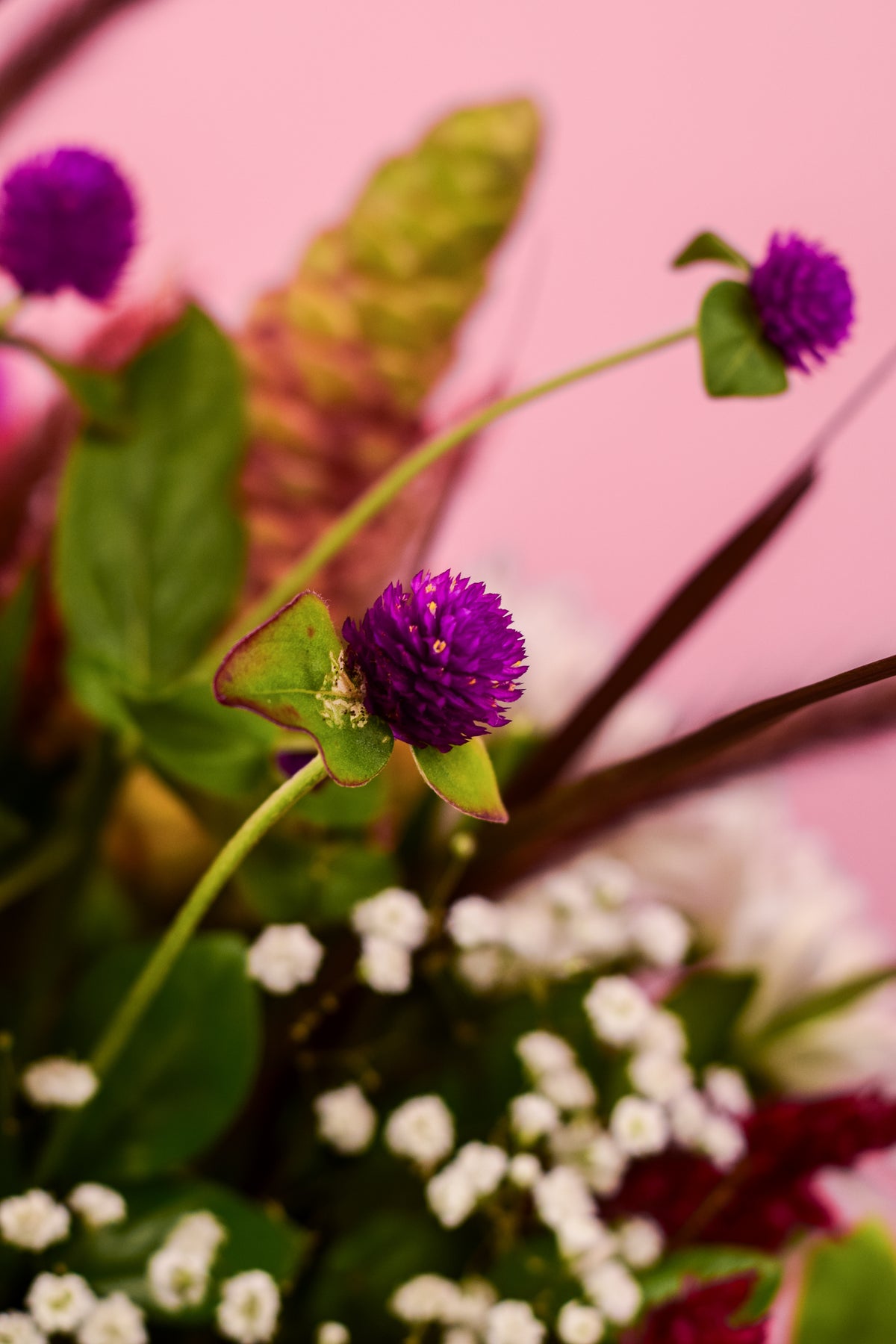 Petal Poetry