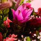 Petal Poetry