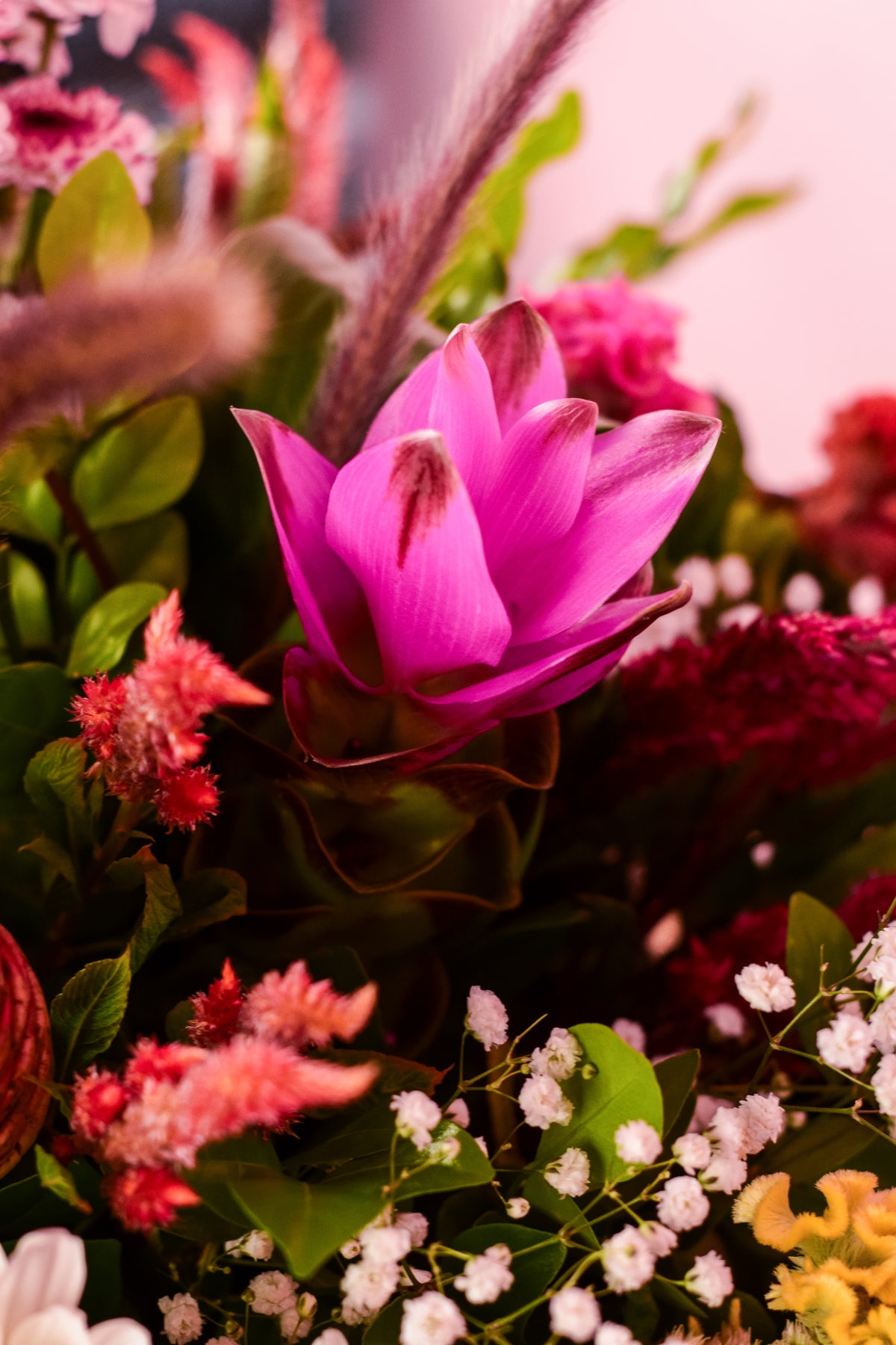Petal Poetry