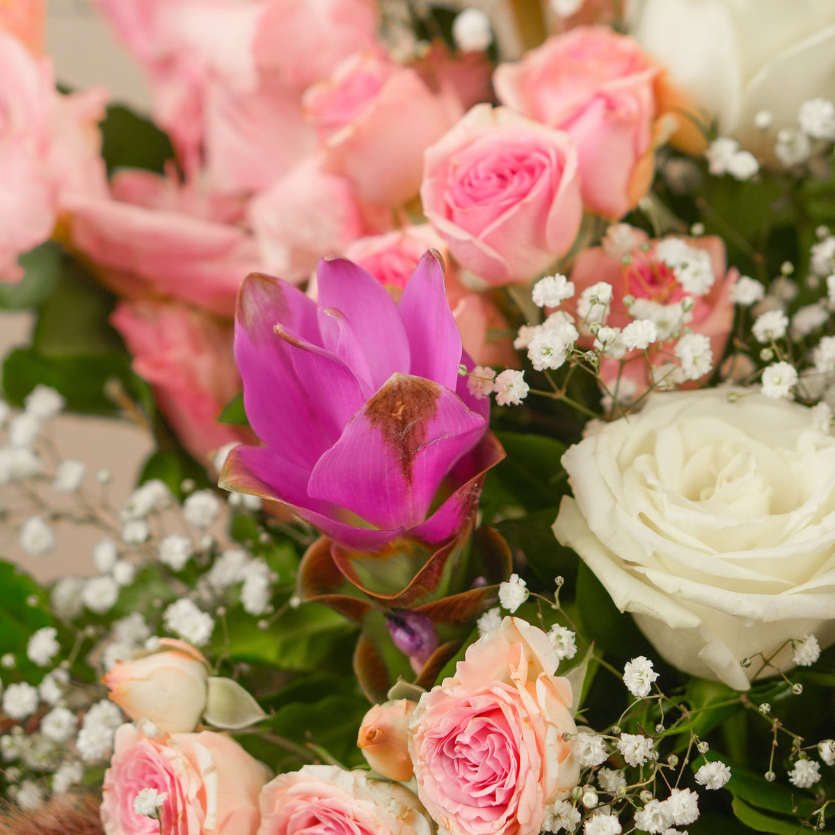 Pink Sugar