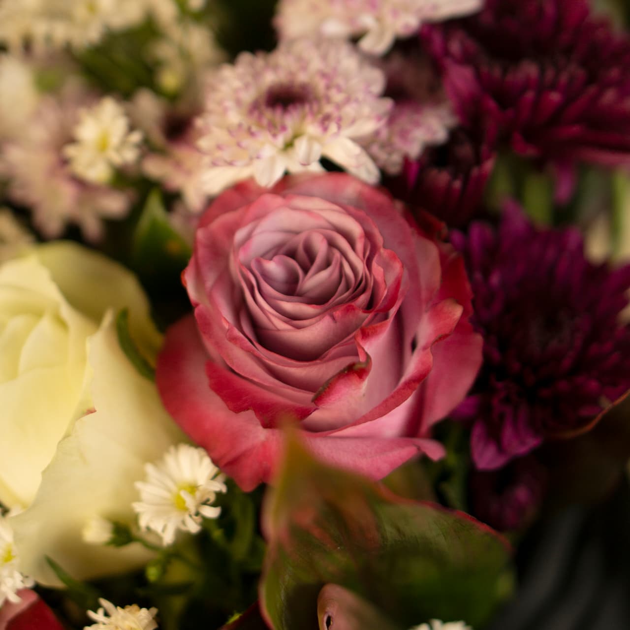 Audrey's Little Secret