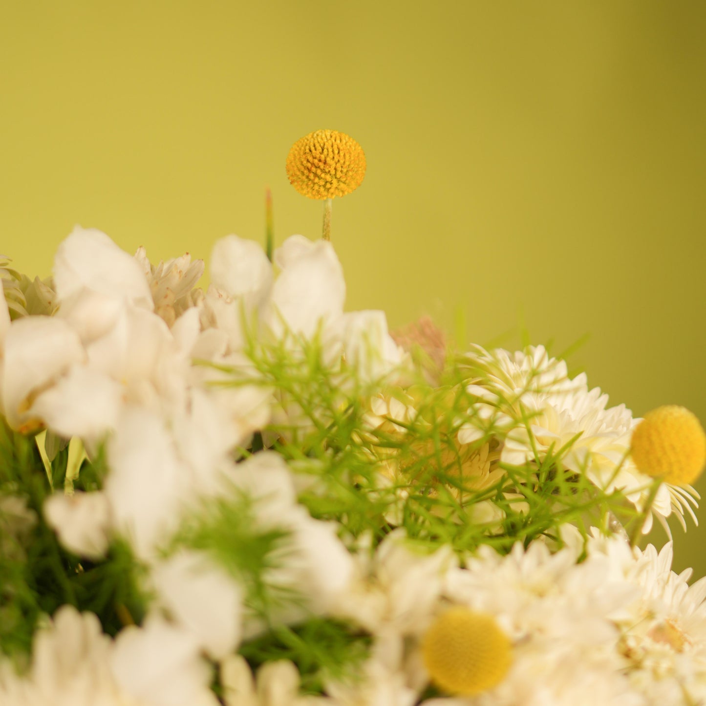 Abundance