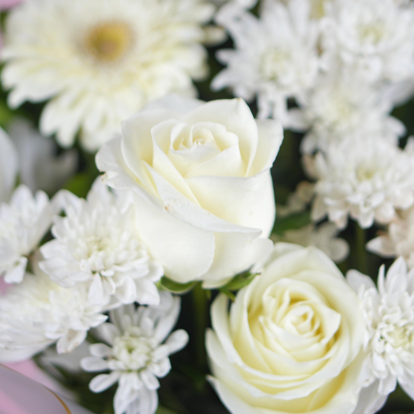 Purity