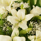 Timeless whites