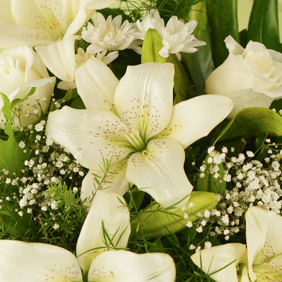 Timeless whites