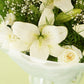 Timeless whites