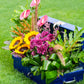 Royal Bloom