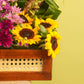 Farmer's Basket
