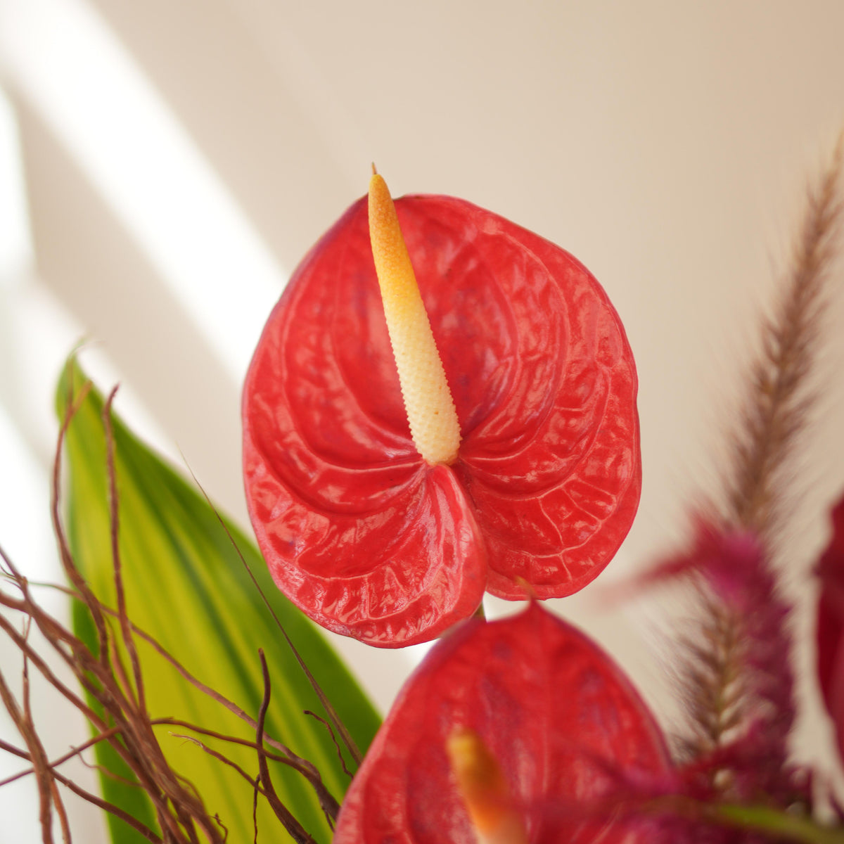 Crimson Love