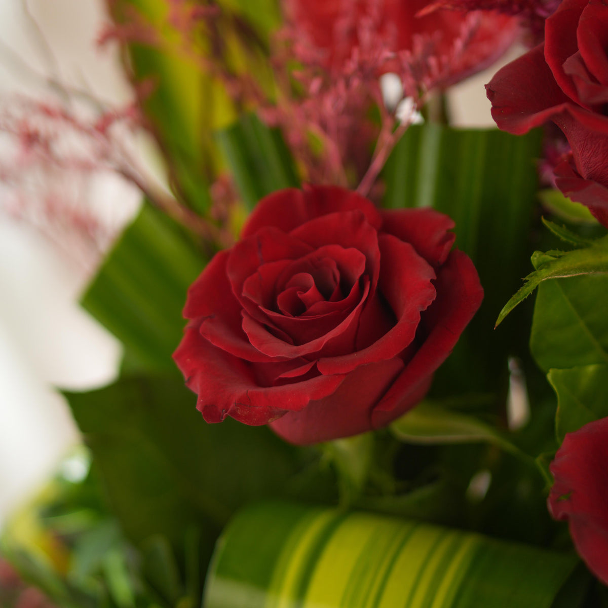 Crimson Love