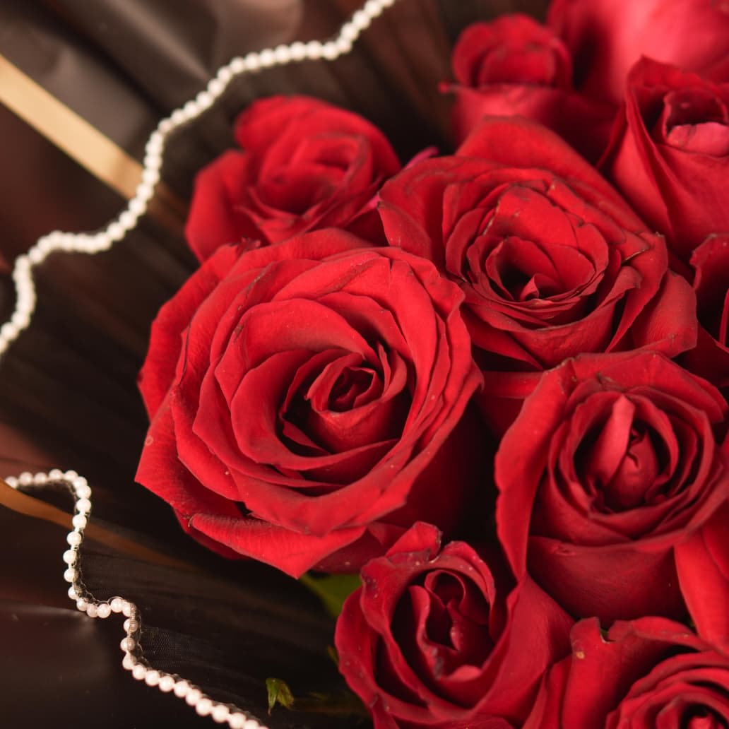 Ever Red (20 Roses)