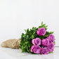 Purple Rush